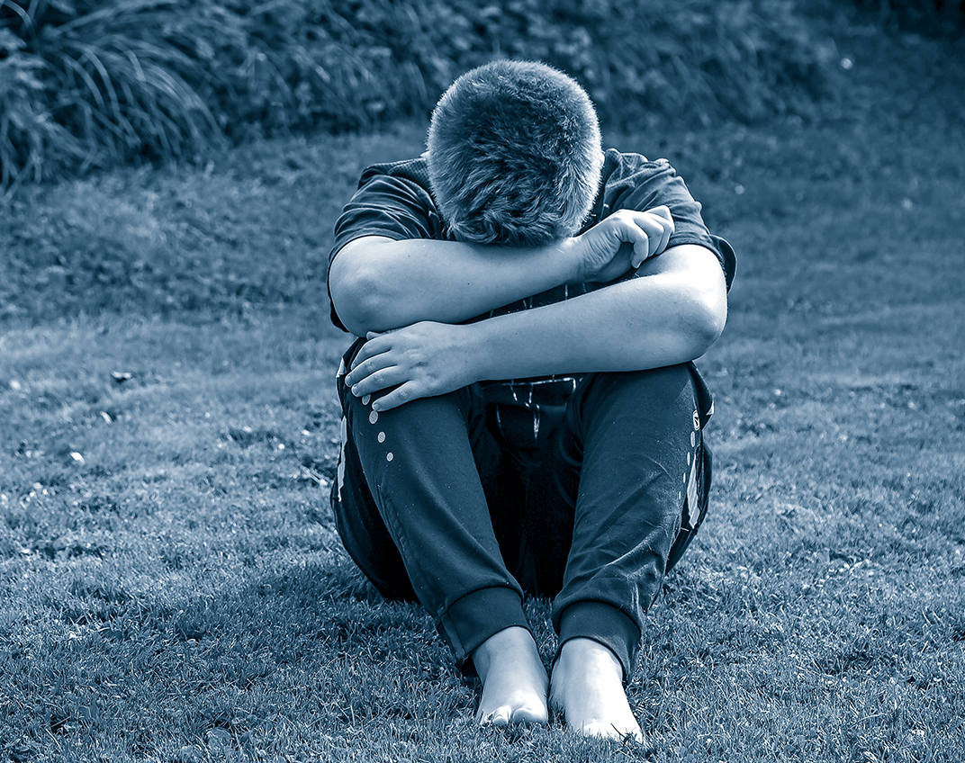 Principles and Principalities of Childhood Gender Dysphoria Prof John Whitehall Luke's Journal